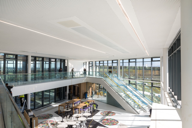 Menia Science Park - acoustic plasterboard ceiling